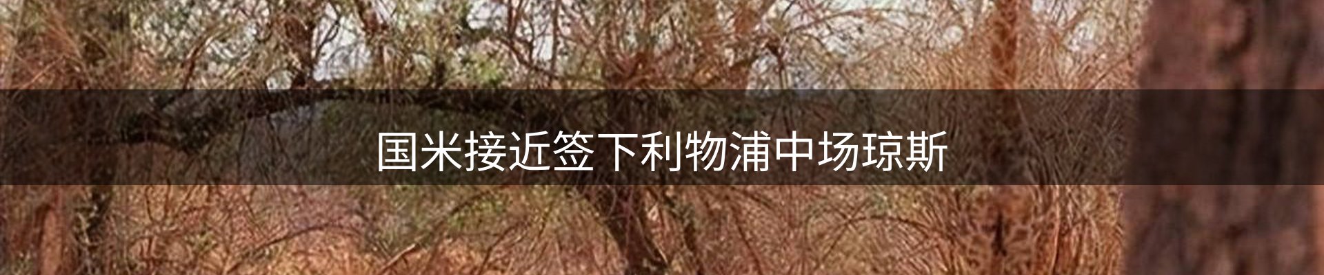 新闻中心